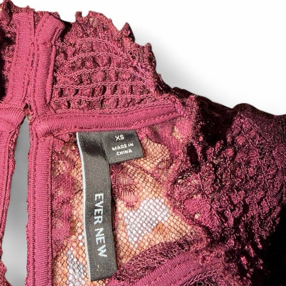 Ever New Burgundy Lace Sheer Blouse — XS Romantic High Neck Long Sleeve Top - Picture 4 of 5